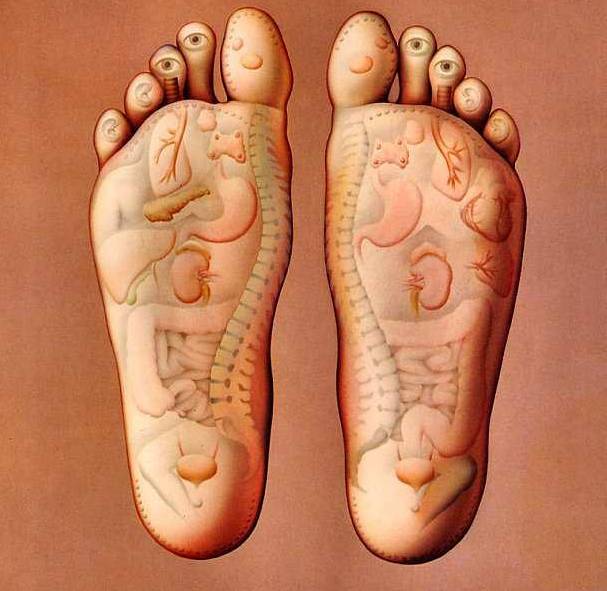An den Füßen befinden sich Triggerpunkte, die fast alle Bereiche unseres Körpers beeinflussen. Fühlen sich die Füße unwohl, fühlt sich in aller Regel auch der gesamte Rest von uns nicht wohl.